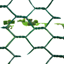 PVC PVC Cage Cage Hexagonale Mesh